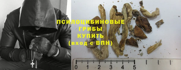 гидропоника Балабаново