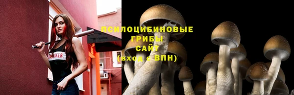 гидропоника Балабаново