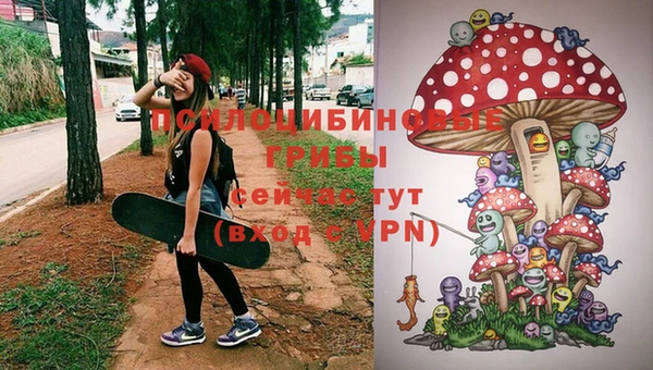 гидропоника Балабаново