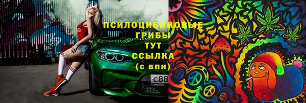 гидропоника Балабаново