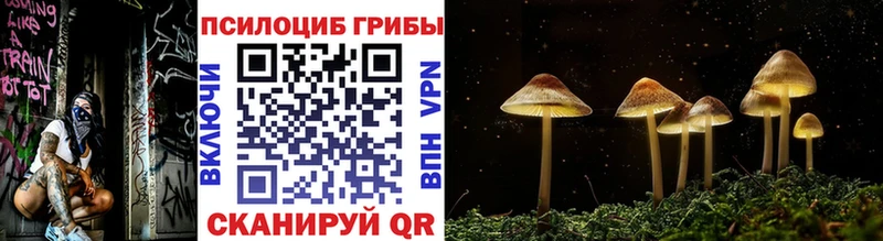 Галлюциногенные грибы мицелий Кодинск