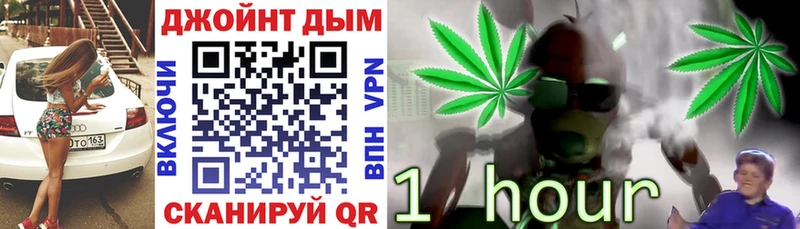 где купить наркоту  Кодинск  даркнет как зайти  Конопля ГИДРОПОН 